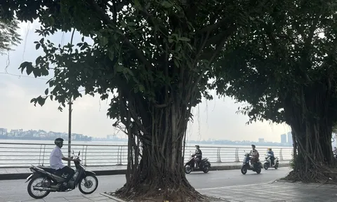 Dự báo chi tiết hôm nay (19/11): Hà Nội ngày nắng, đêm và sáng trời rét