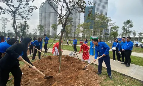 Tuổi trẻ Thủ đô tổ chức Tết trồng cây Xuân Giáp Thìn