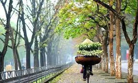 Dự báo: Miền Bắc chuẩn bị đón hai đợt không khí lạnh, mưa rét kéo dài