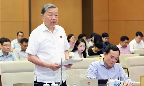 Cho ý kiến về dự án Luật Phòng, chống mua bán người (sửa đổi)