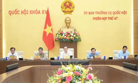 Đồng thuận cao với cải cách hành chính, cử tri kỳ vọng vào đổi mới và phát triển