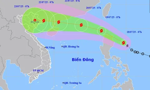 Bão Wipha mạnh dần, nguy cơ ảnh hưởng trực tiếp đất liền Việt Nam