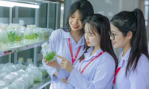 Thí sinh ‘đổ xô’ đăng ký ngành Sư phạm: Điểm chuẩn 2025 tăng mạnh?