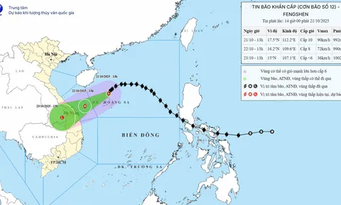 Bão số 12 di chuyển phức tạp, cảnh báo mưa đặc biệt lớn ở Trung Bộ