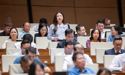 Đại biểu Quốc hội: “Nhiều giáo viên sợ lên lớp vì áp lực và bạo lực học đường”
