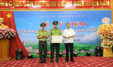 Chi cục Kiểm lâm Vĩnh Phúc: Nâng cao vai trò quản lý, bảo vệ và phát triển rừng