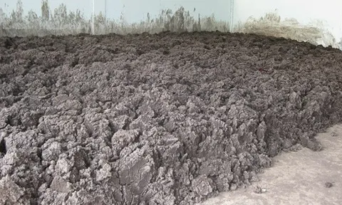 Phó giáo sư biến bùn thải thành vật liệu sản xuất áo chống đạn