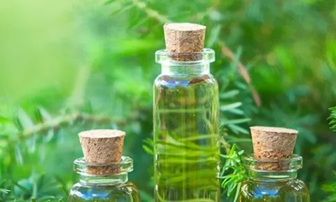 Gặp gỡ 8X biến nông sản “bỏ đi” thành tinh dầu cao cấp