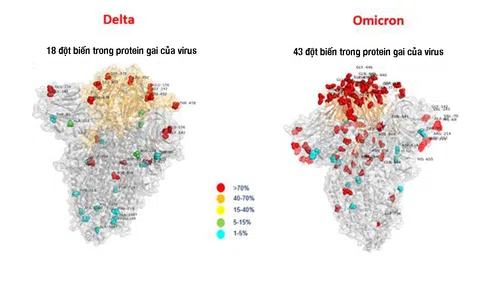 Tăng cường phòng, chống COVID-19, kiểm soát biến chủng mới Omicron