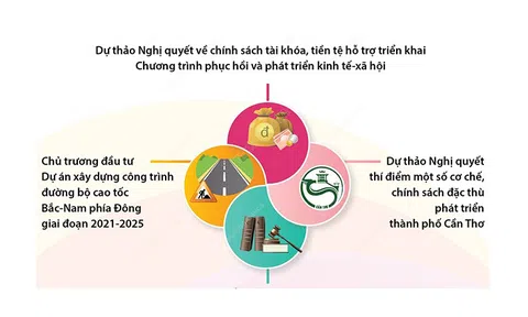 [infographic] - 4 nội dung sẽ được Quốc hội khóa XV quyết định tại Kỳ họp bất thường lần thứ nhất