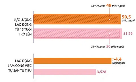 [Infographic] Năm 2021: Cả nước có 50,5 triệu lao động từ 15 tuổi trở lên