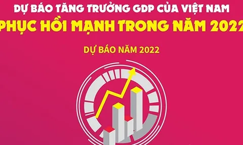 [infographic] Dự báo tăng trưởng GDP của Việt Nam phục hồi mạnh trong năm 2022