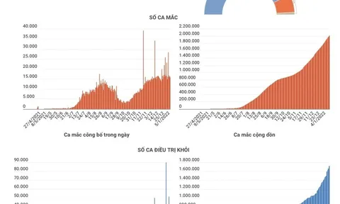 (Interactive) Toàn cảnh dịch COVID-19 tại Việt Nam