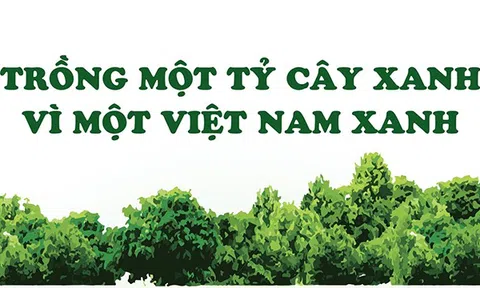 [Infographic] Trồng một tỷ cây xanh - Vì một Việt Nam xanh