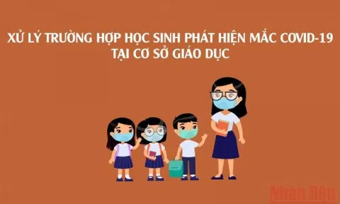 [Infographic] Các bước xử lý khi phát hiện học sinh mắc Covid-19 tại cơ sở giáo dục