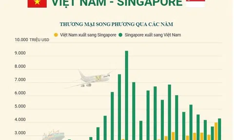 (Interactive) Quan hệ thương mại Việt Nam - Singapore