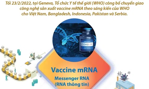 Việt Nam sẽ tiếp nhận chuyển giao công nghệ sản xuất vaccine mRNA