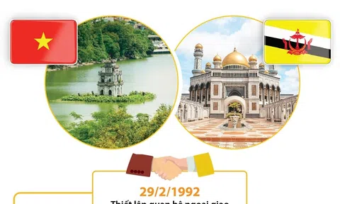 (Infographic) Quan hệ Đối tác Toàn diện Việt Nam - Brunei