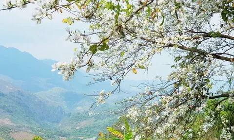 Thời tiết ngày 9-3: Bắc Bộ có sương mù, trưa chiều hửng nắng