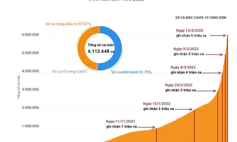 (Interactive) Việt Nam vượt 6 triệu ca mắc COVID-19