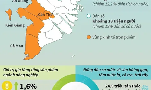 (Infographic) Nông nghiệp vùng ĐBSCL đạt thành tựu phát triển vượt bậc