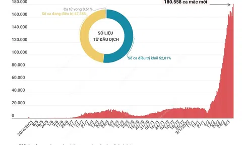 (Infographic) Ca mắc mới COVID-19 tăng cao, ca tử vong giảm mạnh trong ngày