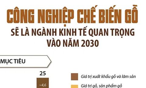 (Infographic) Công nghiệp chế biến gỗ sẽ là ngành kinh tế quan trọng vào năm 2030