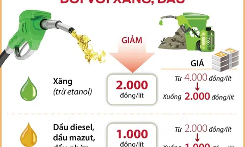 (Infographic) Từ 1/4/2022: Giảm thuế bảo vệ môi trường đối với xăng, dầu