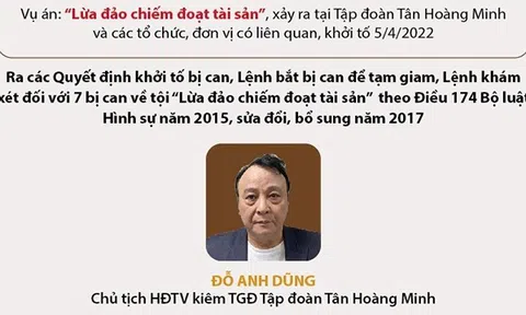 (Infographic) Khởi tố Chủ tịch Tập đoàn Tân Hoàng Minh Đỗ Anh Dũng và 6 đồng phạm