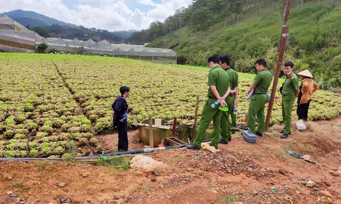 Lâm Đồng: Cơ quan chức năng huyện Lạc Dương vào cuộc điều tra vụ đầu độc rau