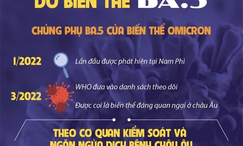 (Infographic) Gia tăng lây lan COVID-19 trên thế giới do biến thể BA.5