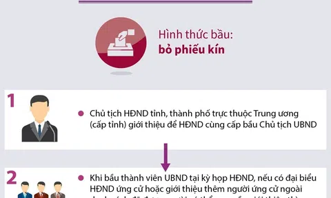 (Infographic) Trình tự, thủ tục bầu Chủ tịch UBND tỉnh, thành phố trực thuộc Trung ương