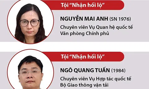 (Infographic) Vụ án "Đưa hối lộ, nhận hối lộ" xảy ra tại Cục Lãnh sự Bộ Ngoại giao: Khởi tố, bắt tạm giam thêm 6 bị can