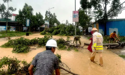 Lâm Đồng: Mưa lớn kèm giông lốc khiến nhiều nhà dân bị tốc mái, cây xanh ngã đổ và sạt lở nghiêm trọng
