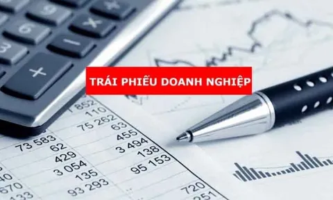 Sau vụ trái phiếu Tân Hoàng Minh: Cần quản lý việc thao túng thị trường của tập đoàn lớn