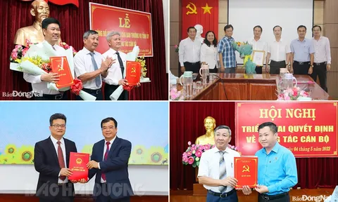 Đồng Nai, Đồng Tháp, Hải Dương điều động và bổ nhiệm nhân sự, lãnh đạo mới