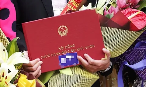383 nhà khoa học đạt chuẩn chức danh giáo sư, phó giáo sư năm 2022