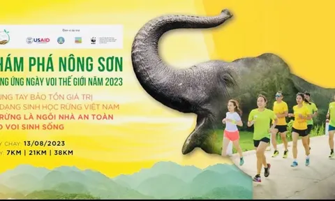 Sắp diễn ra giải chạy marathon 'Khám phá Nông Sơn' năm 2023
