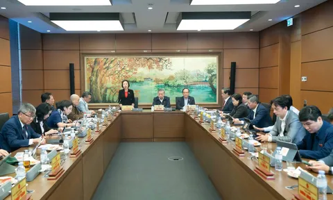 Văn hóa, Y tế và Giáo dục là nguồn nhân lực quyết định sự phát triển bền vững của đất nước