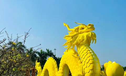 Ngắm Quảng trường hoa Xuân rực rỡ tại TP. Tam Kỳ