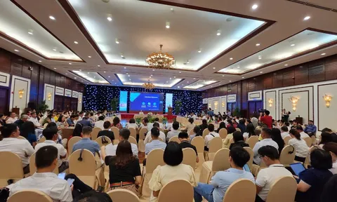 Đà Nẵng: Kết nối giao thương xúc tiến thương mại xuất nhập khẩu