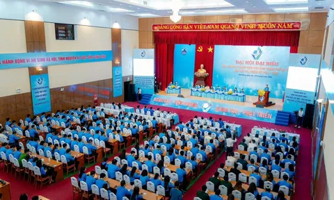 Đại hội Đại biểu Hội LHTN Việt Nam TP Đà Nẵng lần thứ VIII, nhiệm kỳ 2024 – 2029