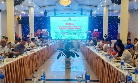 Đà Nẵng: Tìm kiếm giải pháp cho việc phát triển vật liệu xây dựng xanh