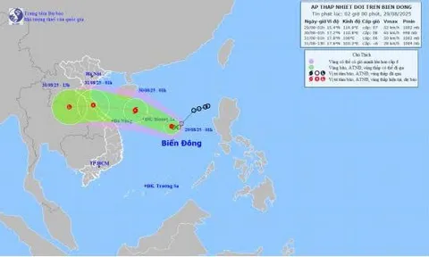 Bão số 6 có nguy cơ ảnh hưởng trực tiếp Đà Nẵng