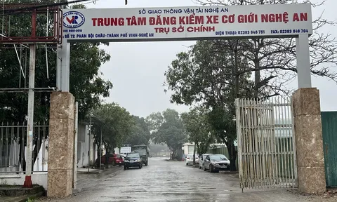 Nghệ An: Kỷ luật, xem xét kỷ luật nhiều tổ chức, cá nhân