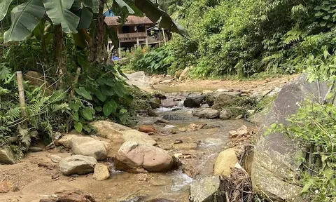 Nghệ An: Khởi công xây cầu vượt lũ khuyến học khuyến tài Briar tại Quế Phong