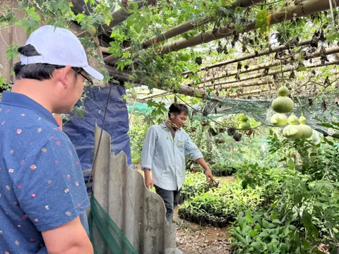 A Lưới 2 khơi dậy động lực phát triển từ các mô hình kinh tế