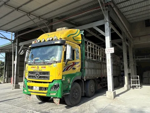 Xi măng Long Thọ mở lối sang thị trường biên giới Lào