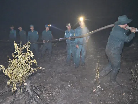 Tỉnh An Giang: Gần 300 cán bộ, chiến sĩ tham gia chữa cháy rừng