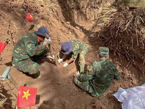 Tìm kiếm hài cốt liệt dưới những gốc dừa